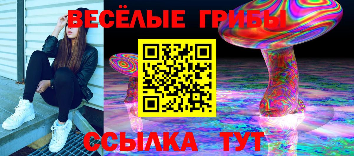 Кизилюрт  Псилоцибиновые грибы прущие грибы  Вход с VPN 