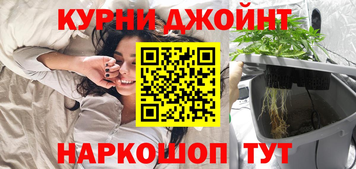 Бошки Шишки гибрид Кизилюрт